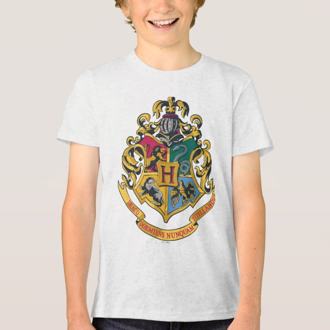 Wappen Harry Potter | Hogwarts - farbenreich Tri-Blend Shirt (Vorderseite)
