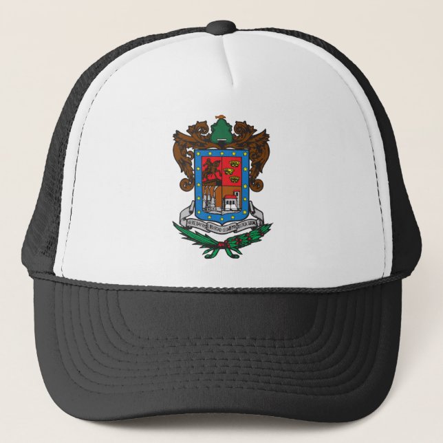 Wappen Michoacan offizielles Mexiko Symbol-Logo Truckerkappe (Vorderseite)