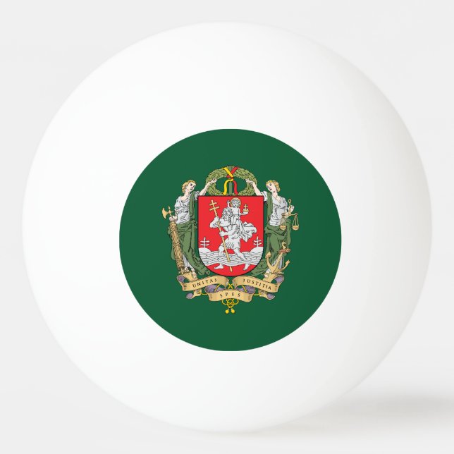 Wappen von Vilnius, Litauen Ping Pong Ball Tischtennisball (Vorderseite)