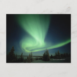 Wapusk-Nationalpark Postkarte