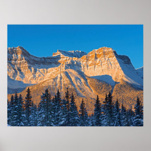 Waputik-Gebirgszug in den kanadischen Rocky Mounta Poster
