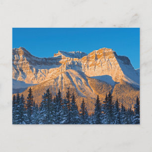 Waputik-Gebirgszug in den kanadischen Rocky Mounta Postkarte