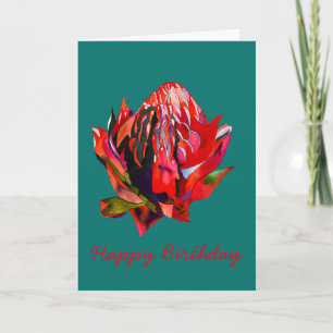 Waratah Australian native flower watercolor Karte