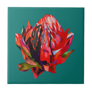 Waratah Australische Blume Aquarell Fliese