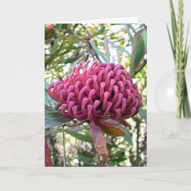 waratah karte (Vorderseite)