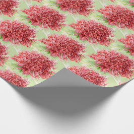Waratah Rotbotanica Aquarellkunst Geschenkpapier