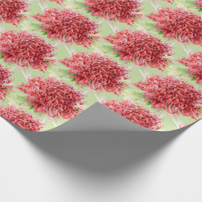 Waratah Rotbotanica Aquarellkunst Geschenkpapier (Ecke)