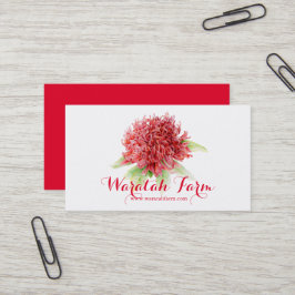 Waratah rote Blumenkunstbauernhof-Geschäftskarte Visitenkarte