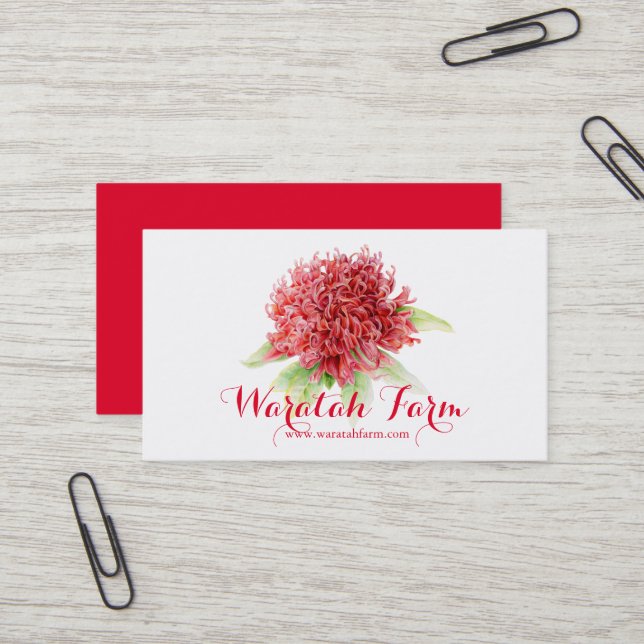 Waratah rote Blumenkunstbauernhof-Geschäftskarte Visitenkarte (Vorderseite/Rückseite Beispiel)