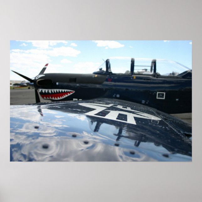 Warbird Poster (Vorne)