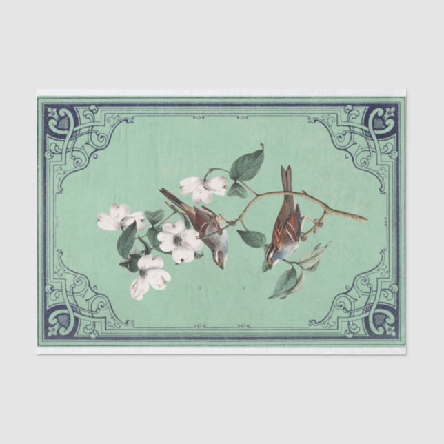Warbler Bird auf weißem Dogwood-Rahmen Seidenpapier (Vorderseite)