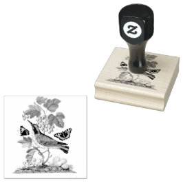 Warbler Bird Eggs Cocoon Vintag Scrapbooking Gummistempel