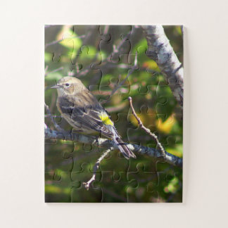 Warbler Bird Photo Puzzle