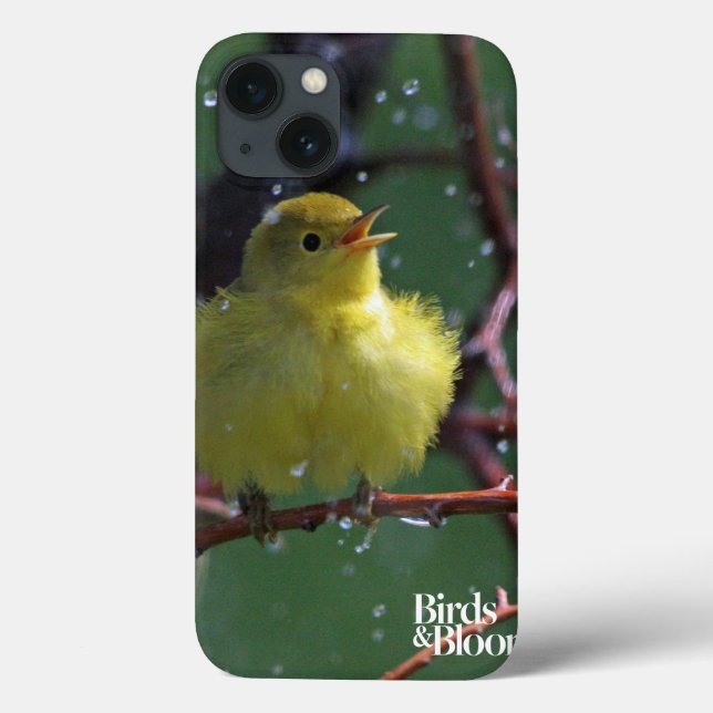 Warbler Case-Mate iPhone Hülle (Rückseite)