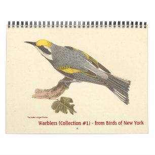 Warbler Collection #1 Lithographien von Vögeln von Kalender