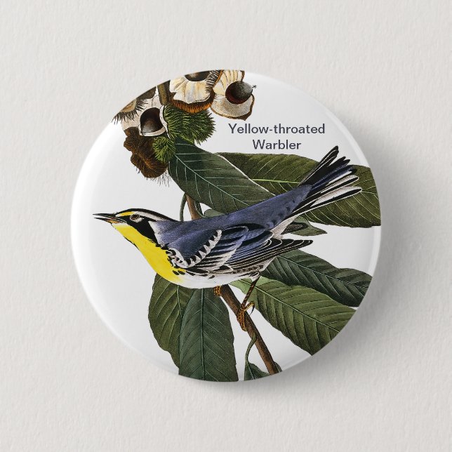 Warbler, John James Audubon, Bird Button (Vorderseite)