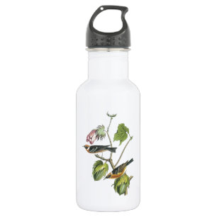 Warbler von Audubon Trinkflasche