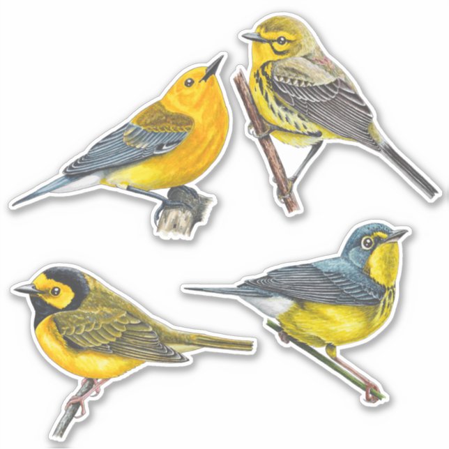 Warblers Stickers Value Pack Aufkleber (Vorderseite)