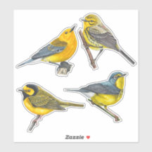 Warblers Stickers Value Pack