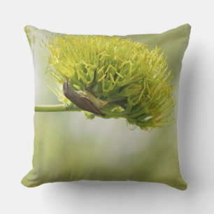 Warbling Vireo auf Agave Spike Blossom Kissen