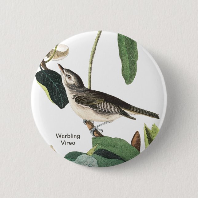 Warbling Vireo John James Audubon Birdwatcher Bird Button (Vorderseite)