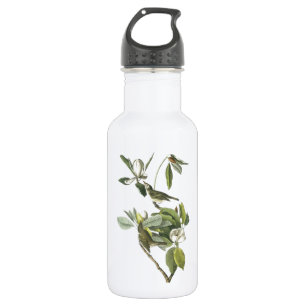 Warbling Vireo von Audubon Trinkflasche