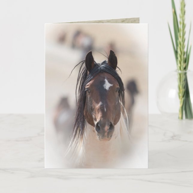 Warbonnet's Stolz Wild Horse Grußkarte Karte (Vorderseite)