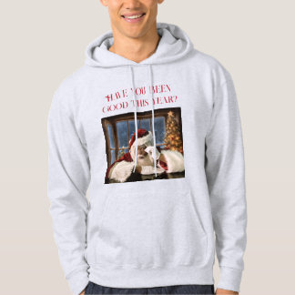 Waren Sie in diesem Jahr gut? Hoodie