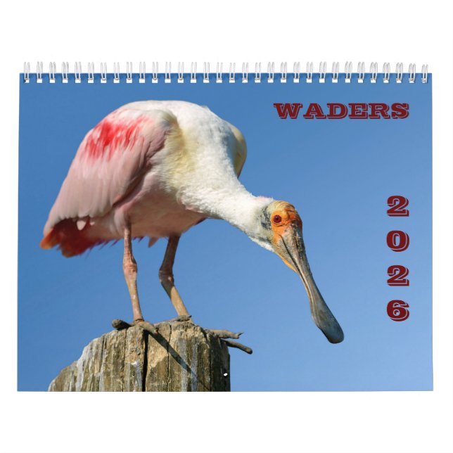 Warenkalender Kalender (Titelbild)