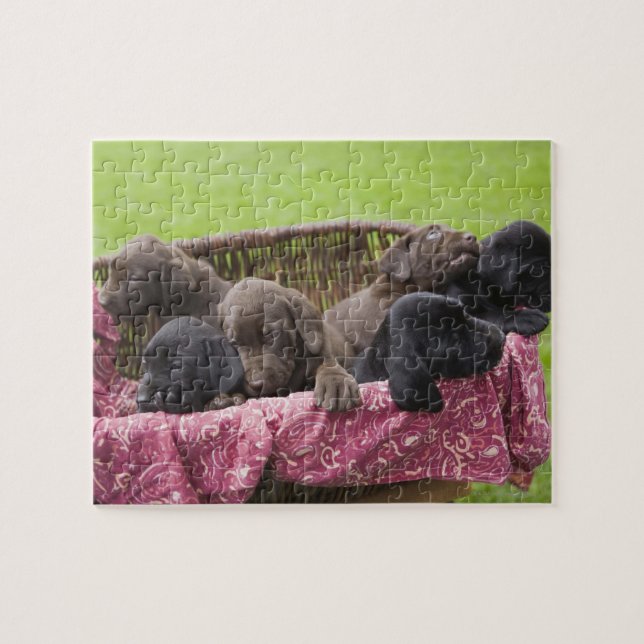 Warenkorb für Hundewelpen (Horizontal)