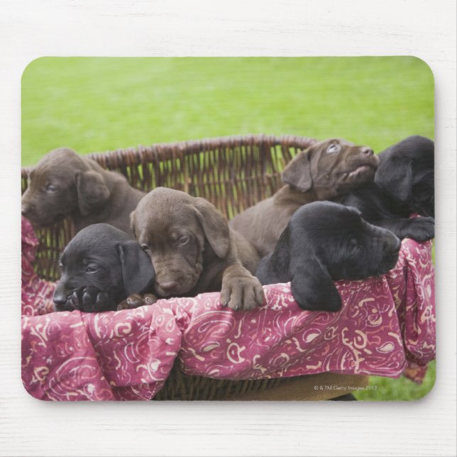 Warenkorb für Hundewelpen Mousepad (Vorne)