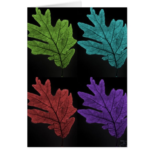 warholesque Blatt (Vorne)