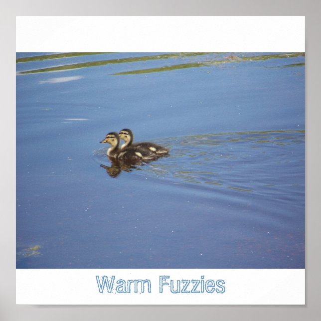 Warm Fuzzies Poster (Vorne)