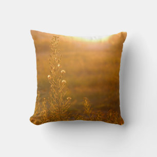 WARM SHOT OF MEADOW GRASS KISSEN
