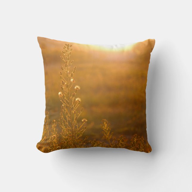 WARM SHOT OF MEADOW GRASS KISSEN (Vorderseite)