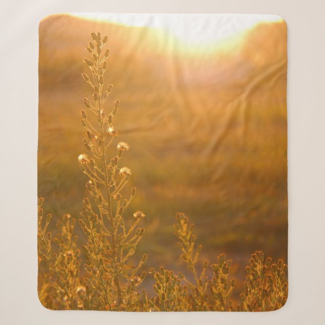 WARM SHOT OF MEADOW GRASS SHERPADECKE (Vorderseite)