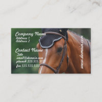 Warmblood PferdeVisitenkarte
