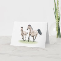 Warmblood Stuten-u.