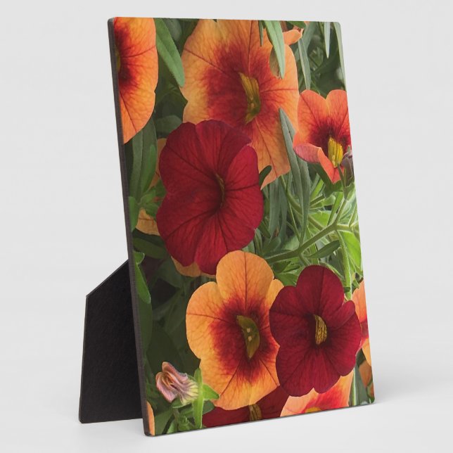 Wärme der Sonnenblume Fotoplatte (Seite)