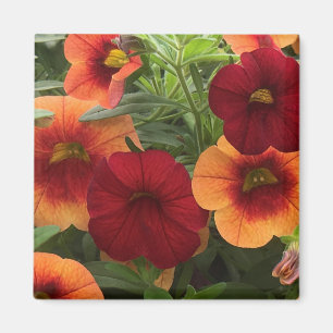 Wärme der Sonnenblume Magnet