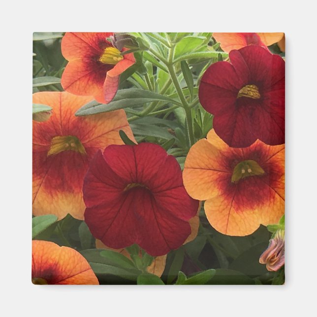Wärme der Sonnenblume Magnet (Vorne)