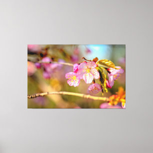 Warme Farben der Sakurablüten in der Hanami-Saison Leinwanddruck