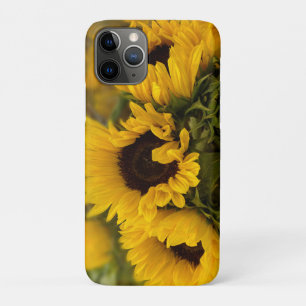 Warme goldene Sonnenblume Custom Case-Mate iPhone Hülle