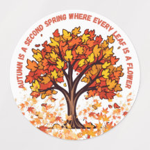 Warme Herbstblätter, magische Jahresgeschenke