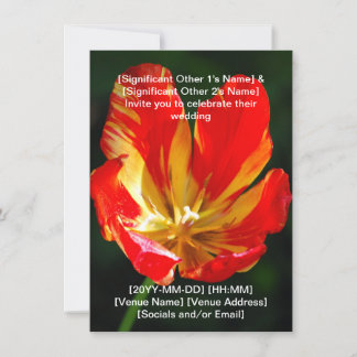 Warme rote orange Tulpen-Hochzeitseinladung Einladung