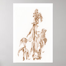 Warme saisonale botanische Tinten-Kunst elegante W