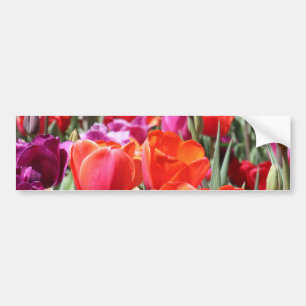 Warme Tulips Autoaufkleber