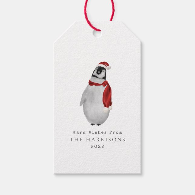 Warme Wünsche Baby Penguin Santa Geschenkanhänger (Vorderseite)