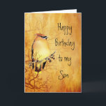 Warmer Kupfer Zeder Waxwing Bird Son Birthday Karte<br><div class="desc">Kupfer Zedernholz Waxwing Bird zum Geburtstag für deinen Sohn</div>