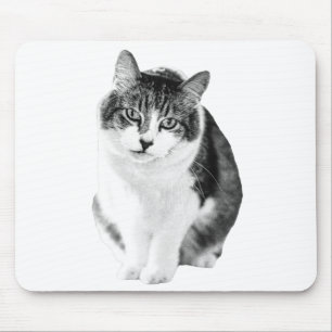 Warmer ruhiger Fokus Mousepad